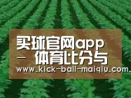 种植基地六