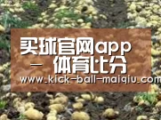 种植基地七