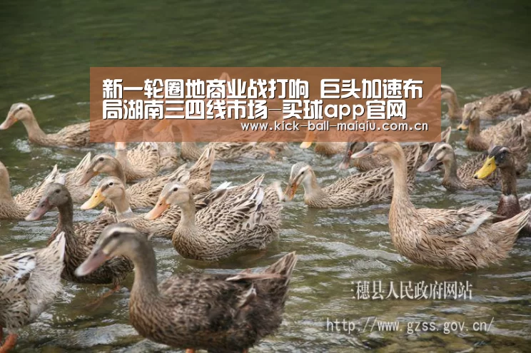 新一轮圈地商业战打响 巨头加速布局湖南三四线市场-买球app官网(图1) 买球app官网