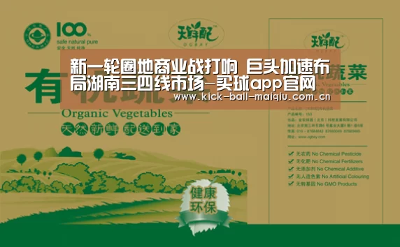 新一轮圈地商业战打响 巨头加速布局湖南三四线市场-买球app官网(图4) 买球app下载