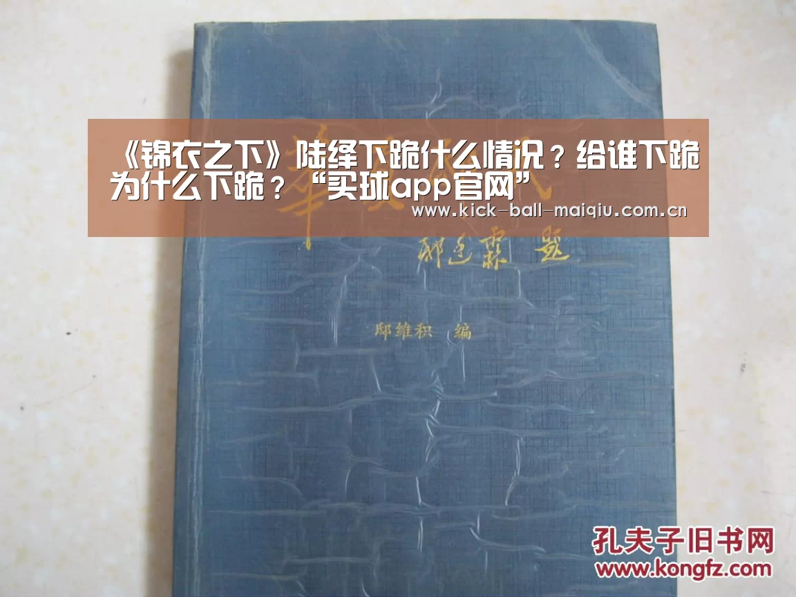 《锦衣之下》陆绎下跪什么情况?给谁下跪为什么下跪?“买球app官网”(图4) 买球app下载