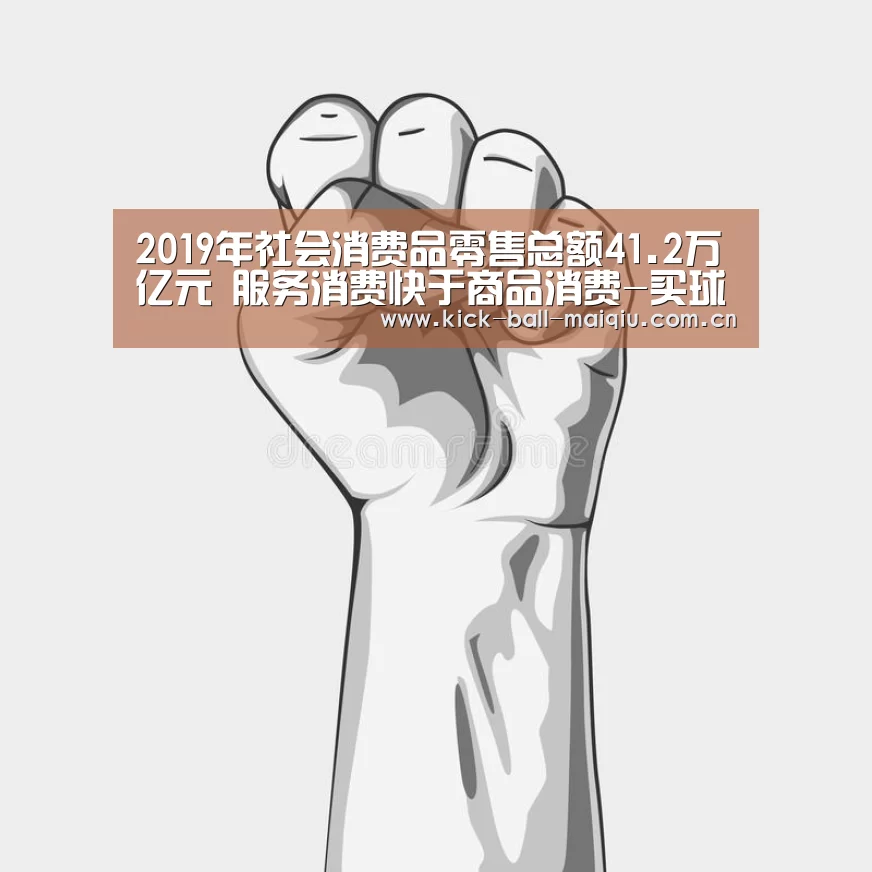 2019年社会消费品零售总额41.2万亿元 服务消费快于商品消费-买球app官网(图2) 买球app下载