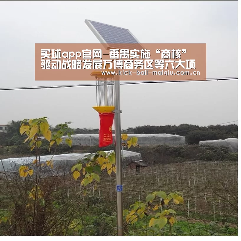 买球app下载